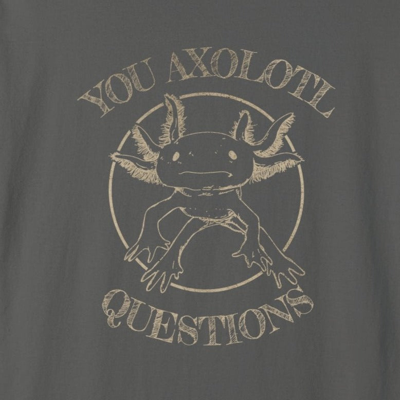 You Axolotl Questions Funny Friend Gift Distressed Vintage Style Tee Unisex Garment-Dyed T-shirt